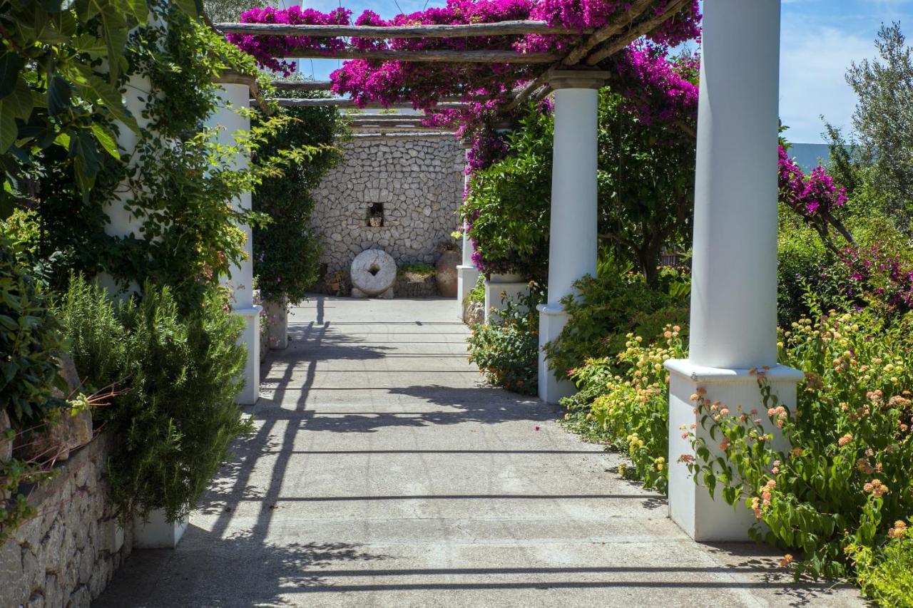 Hotel Al Mulino Anacapri (Isola di Capri)